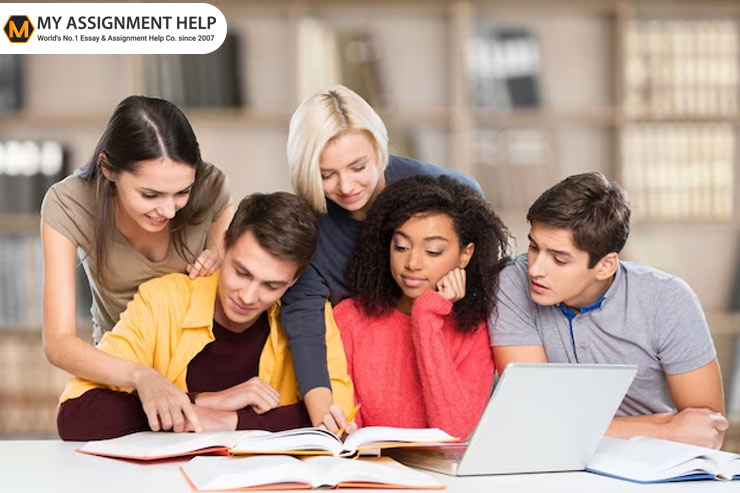 Professional Coding Assignment Help for College and University Students
