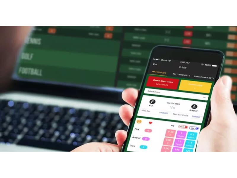 ブック メーカー ランキング｜初心者でも選びやすいおすすめ比較