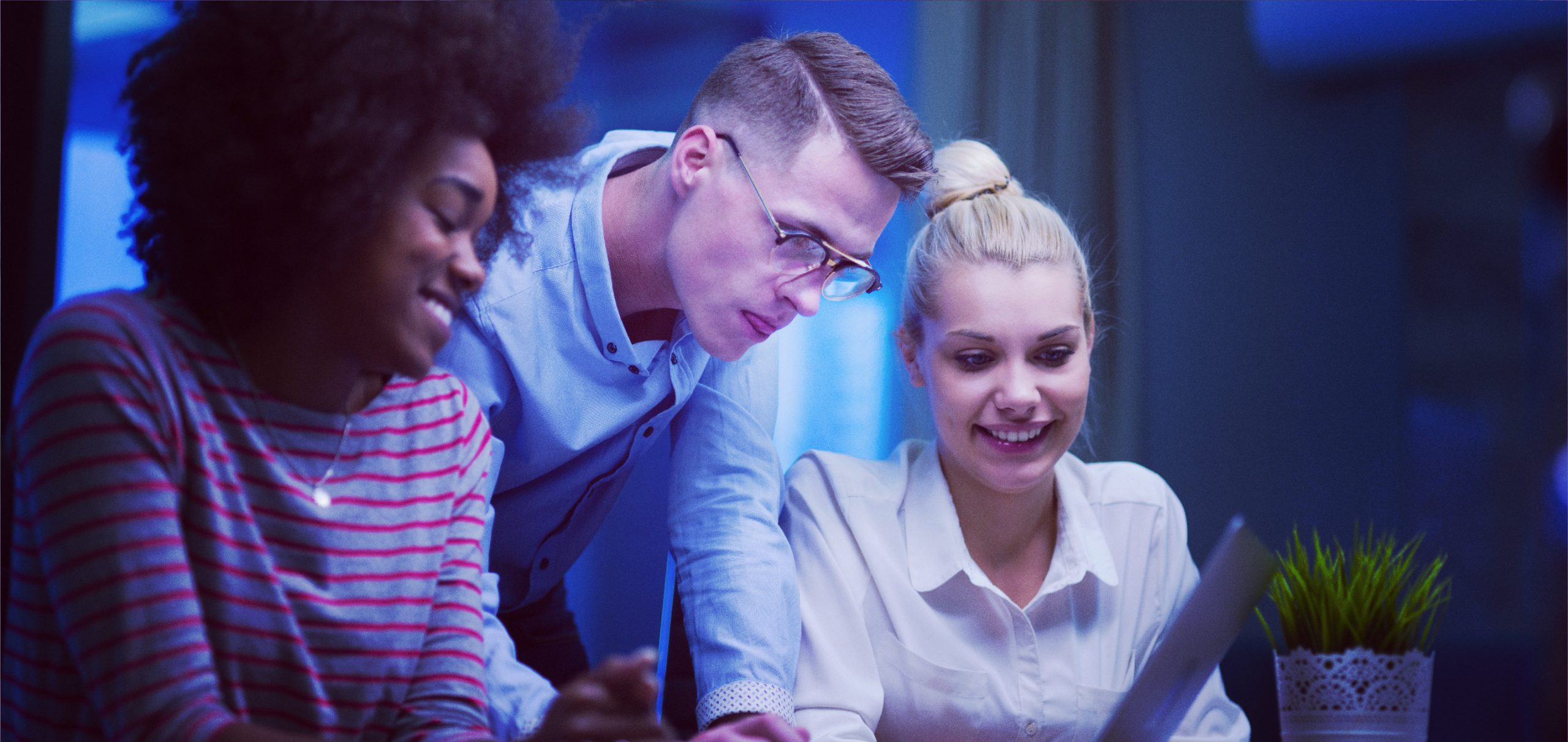 Elevate Your Brand with Professional Web Design Services