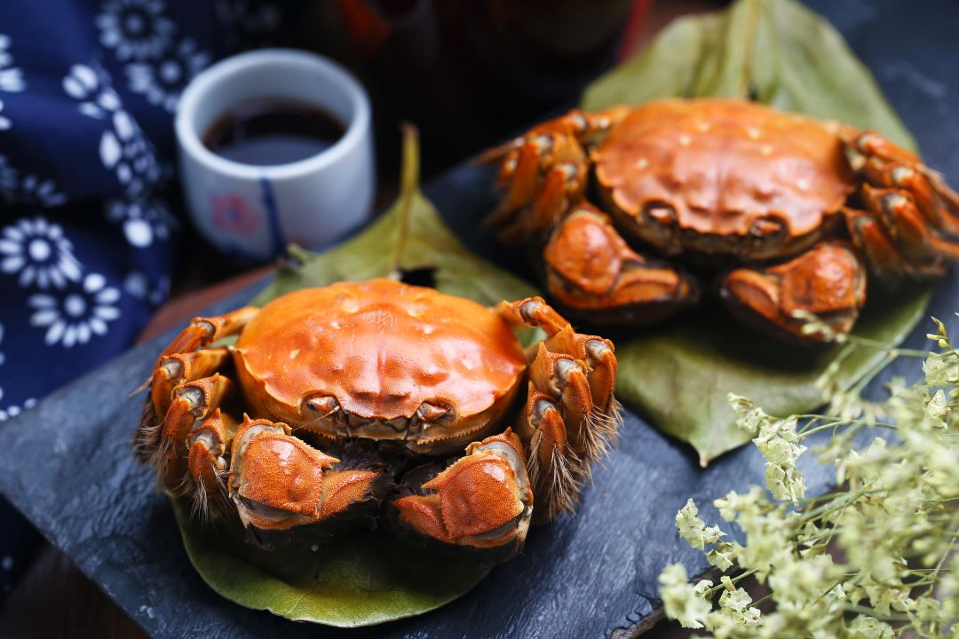 Fresh Irish Crab Recipes Seafood Lovers Enjoy