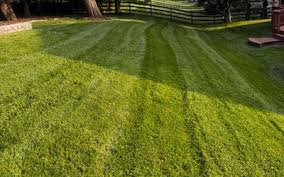 How to Choose the Best Lawn Service in Vancouver WA