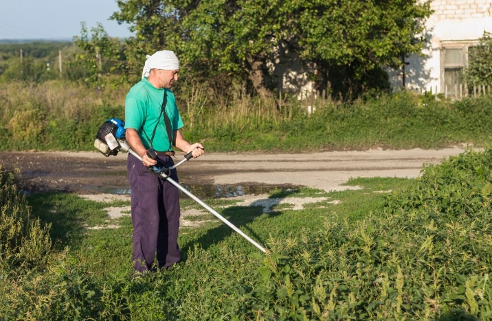 Brush Cutters in Indian Farming: Shift from Sickles to Machines