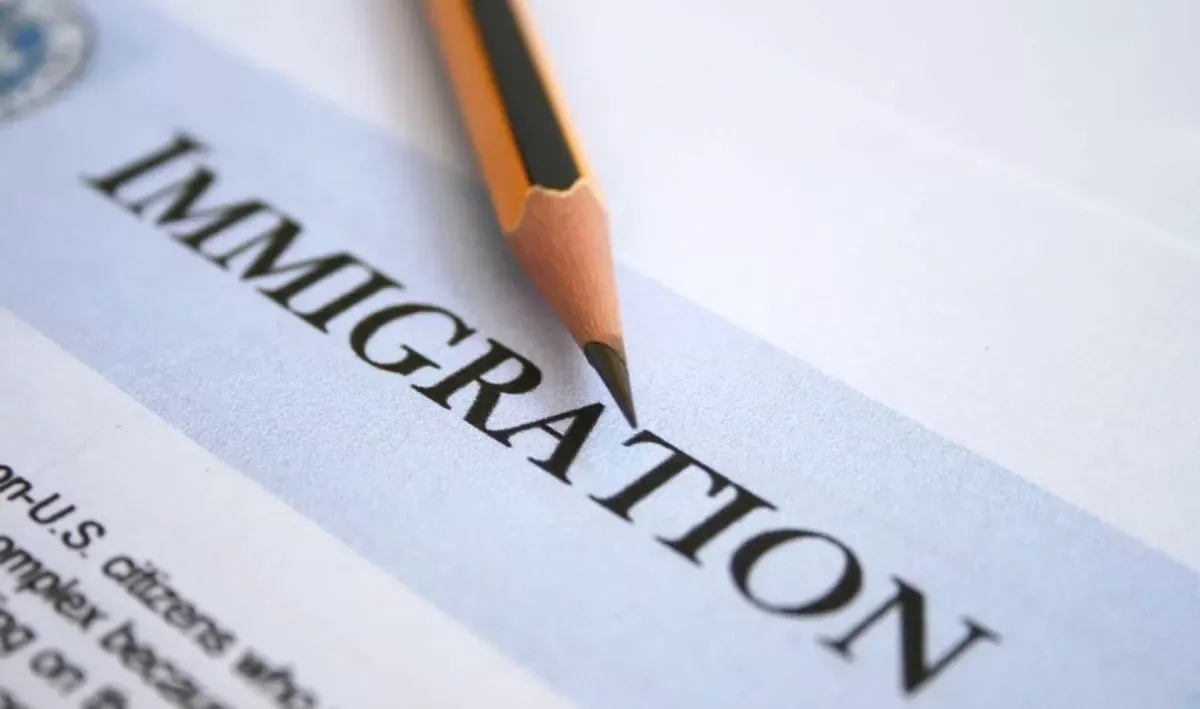 Top services offered by immigration consultants